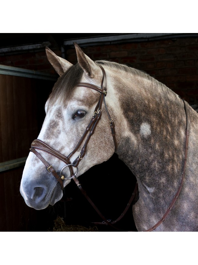 BR100 Venice Bridle with Reins - Available in Cob or Full - Black or Havana, Pick'n'Mix